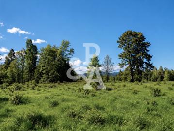 EXCELENTE TERRENO / CONDOMINIO VILLARRICA