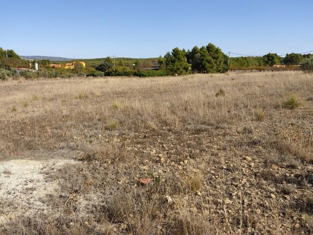 EXCELENTE PARCELA EN PARAJE LOS ESPETONES DISPONE DE POZO