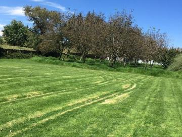 Excelente propiedad para un rancho, caballos, perreras, frutales, invernaderos