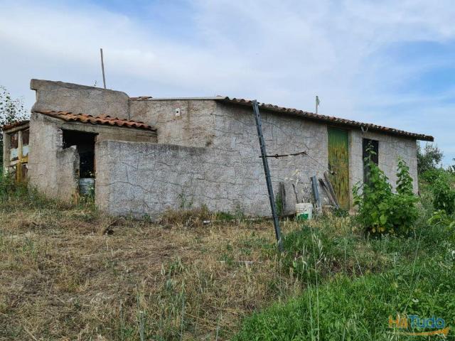 Excelente Quinta com 7000m2, Ladoeiro, Idanha a nova, Castelo Branco | 26062699650