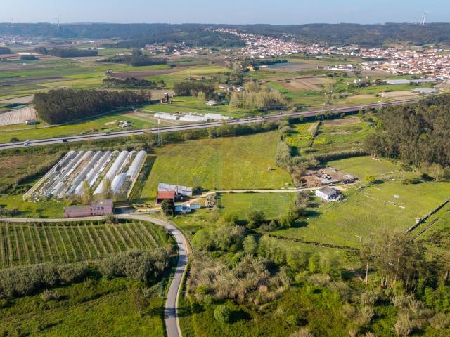 Excelente Quintinha Amoreira 1100m² Óbidos Santa Maria