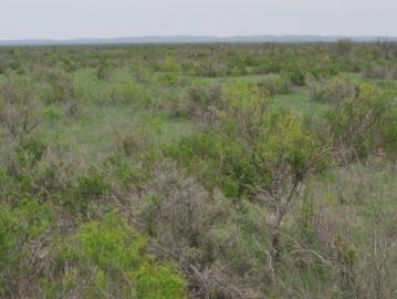 Rancho en El Consuelo, Sabinas, Coahuila