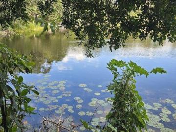 ¡Excelente Rancho en Venta con Cenote abierto! Buctzotz, Yucatán