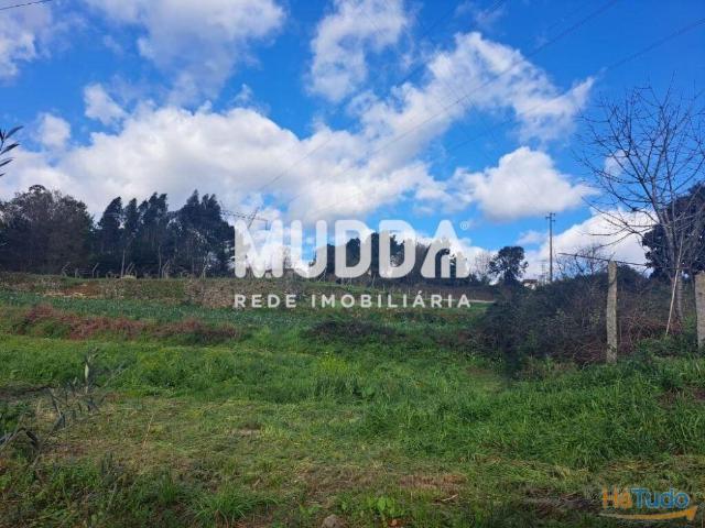Excelente terreno urbano p/ construção de 3 moradias geminadas em Santiago Riba Ul OAZ | 26083767058