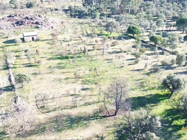 Excelente terreno com 76840m2 situado em Aldeia das Águas, Penamacor. | 25113916821