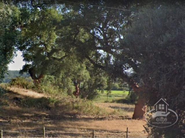 Excelente terreno com muita agua e pista de aterragem