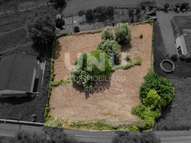 Excelente Terreno com Viabilidade de Construção em Távora São Vicente