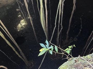 Excelente terreno con Cenote en venta Temozon Yucatan