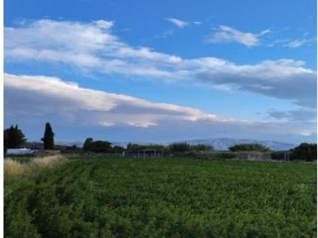 Excelente terreno de 2138 m2 Para lograr el cultivo de tu sueños. Ubicado en Partido de la Ribera
