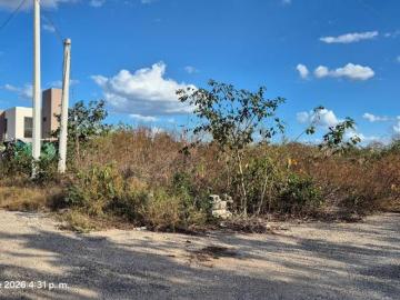 Excelente terreno de oportunidad en esquina en Colonia San Ángel