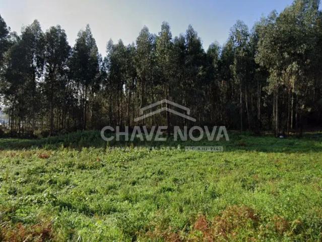 Excelente Terreno em Baguim do Monte