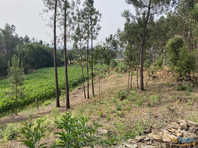 Excelente Terreno em Ribeirão | 26023395597