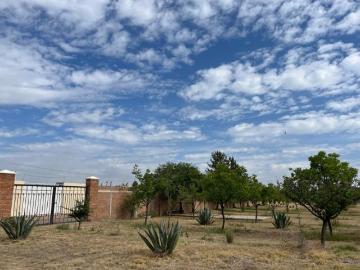 EXCELENTE TERRENO EN VENTA EN EJIDO BENITO JUÁREZ, DURANGO