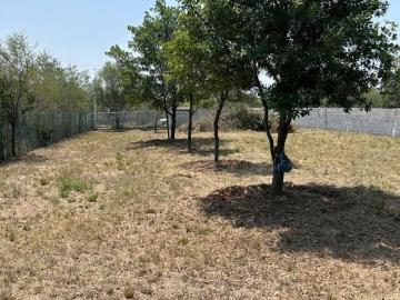 Excelente Terreno en Montemorelos