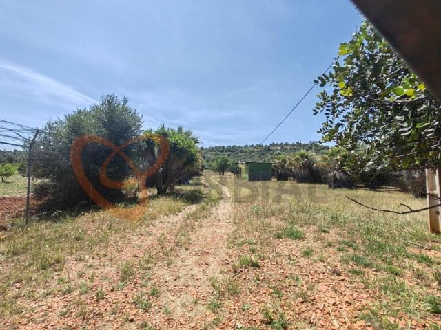 Excelente terreno rústico para venda em Paderne, Albufeira, com uma área total de 16.000 m²