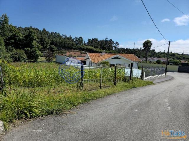 Excelente terreno São João de Vêr | 26063811710