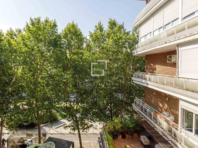 Excellent 3 Bedroom apartment for rent in El Viso, Madrid
