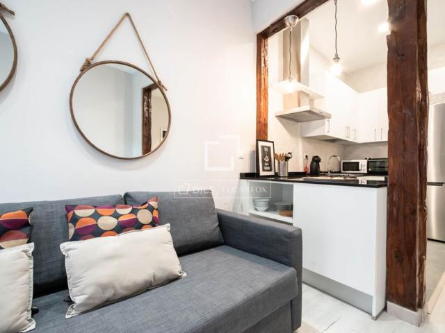 Excellent 1 Bedroom apartment for rent in Cortes / Huertas, Madrid