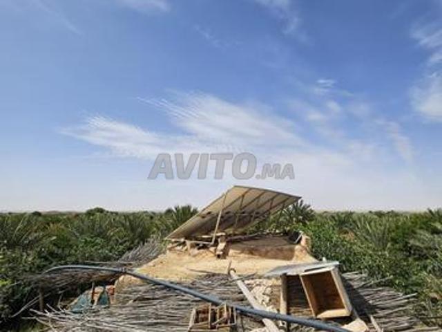 Excellente terre agricole à vendre 3 hectares
