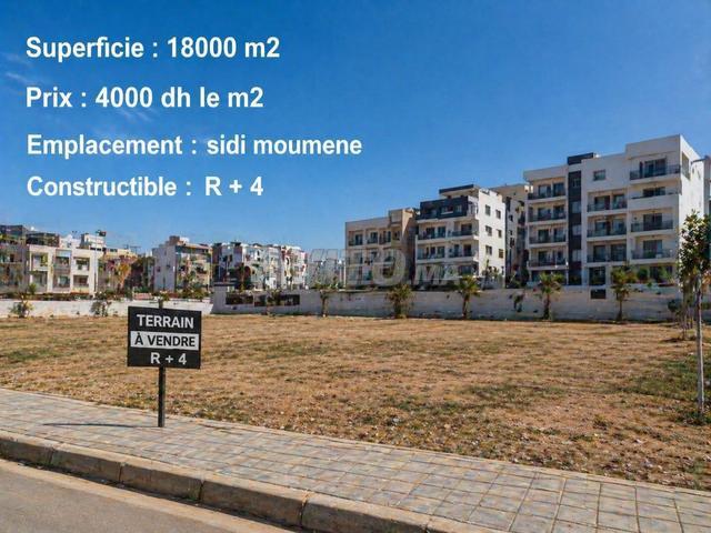 Excellentes opportunités pour investir