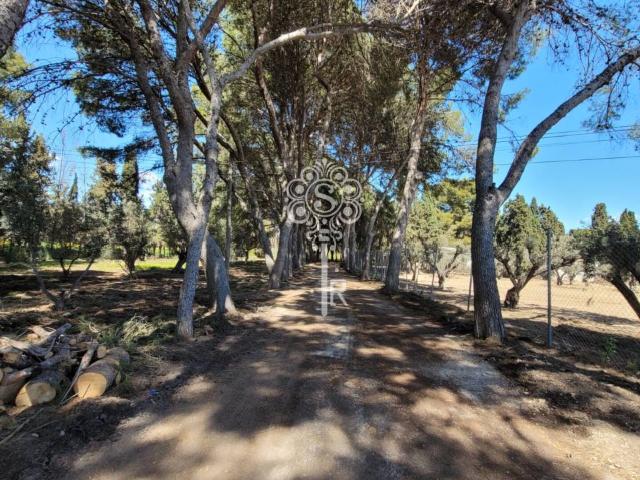 Excepcional Parcela Urbana de 11.662 m² en Alicante Oportunidad para Promotores Proyecto Residencial
