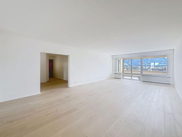 Exceptional apartment completely renovated at Quai du Seujet