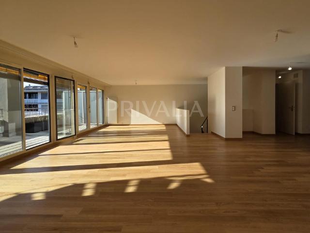 Exceptional duplex with panoramic terrace in the heart of the city centre