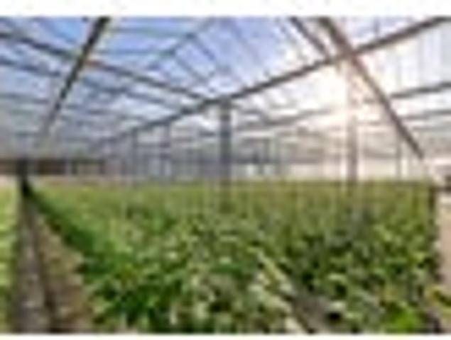 Exceptional glasshouse operation