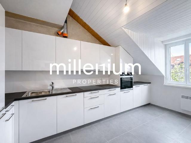 Exceptional Renovated 6 Room Duplex Penthouse in the Heart of Carouge