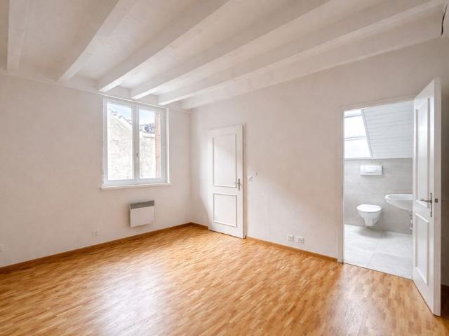 Exceptional Renovated 6 Room Duplex Penthouse in the Heart of Carouge