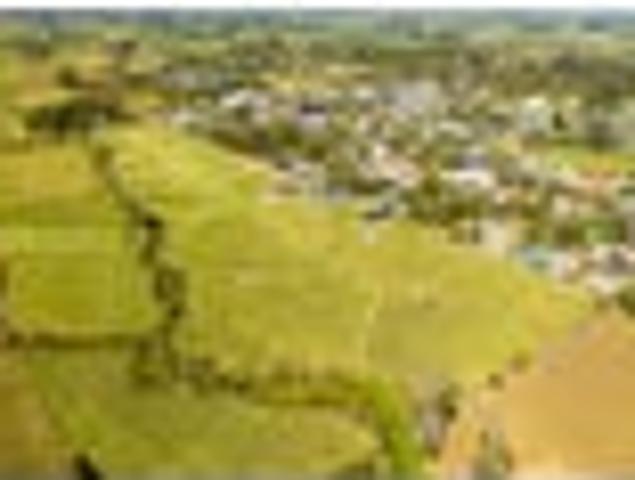 Exciting Okato Lifestyle Subdivision!