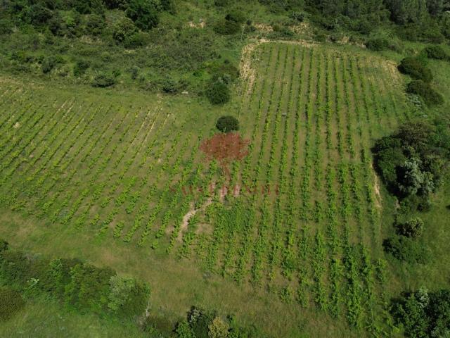 EXCLUSIF, A VENDRE VIGNES ET PARCELLES DE LANDES SUR LE SECTEUR 'LES TERRASSES DU LARZAC'