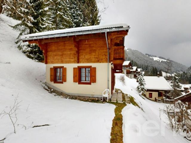 Exclusif: Chalet de 4 chambres avec garage