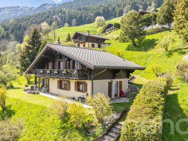 Exclusif: Grand chalet avec 2 garages sur un terrain de 3255 m2
