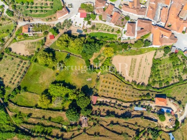 Exclusivo Complexo Agro habitacional em Valoura, Vila Pouca. 565m² Valoura