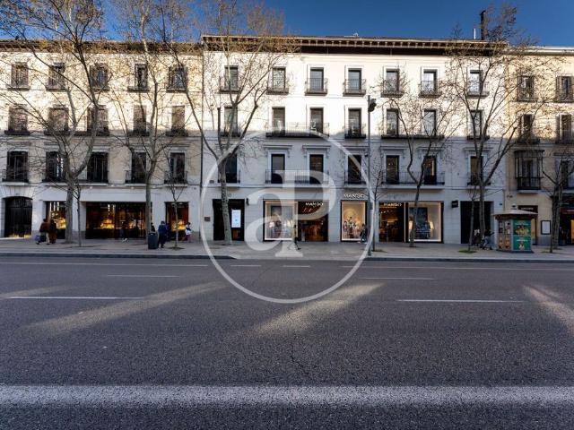 Exclusivo ático de 215 m2 en alquiler Madrid, España