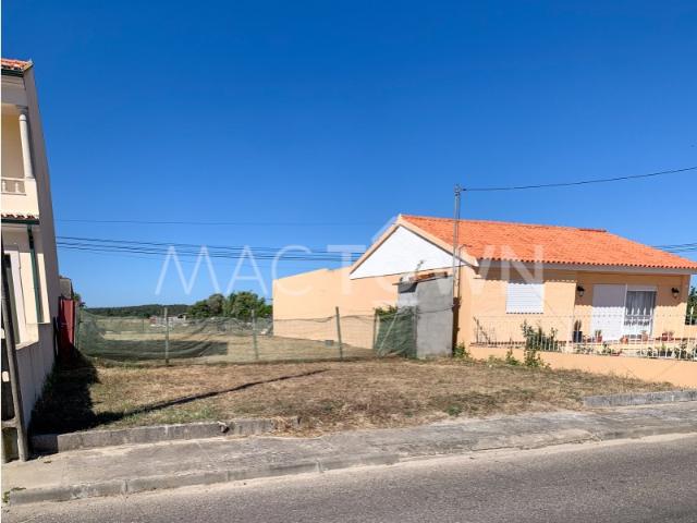 EXCLUSIVO | Lote de Construção em Zona Premium de Alpiarça 5.600 m² com Viabilidade de Construção