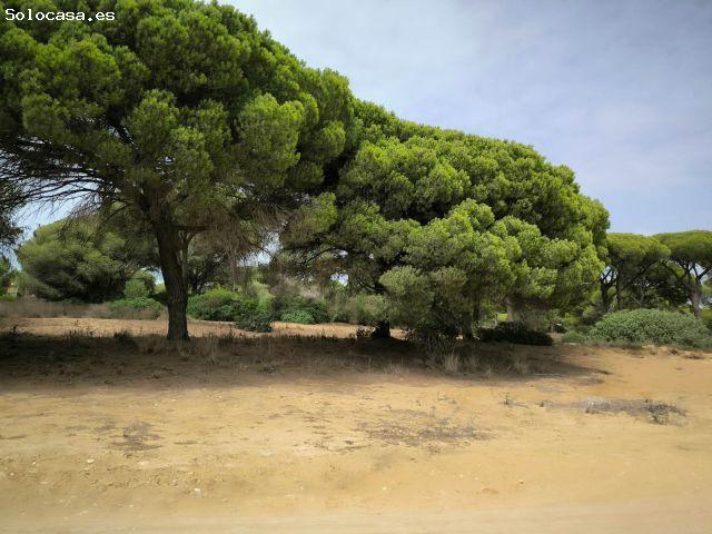Exclusivo Suelo Urbano Consolidado para Desarrollo Turístico en Novo Sancti Petri Chiclana de la Fr