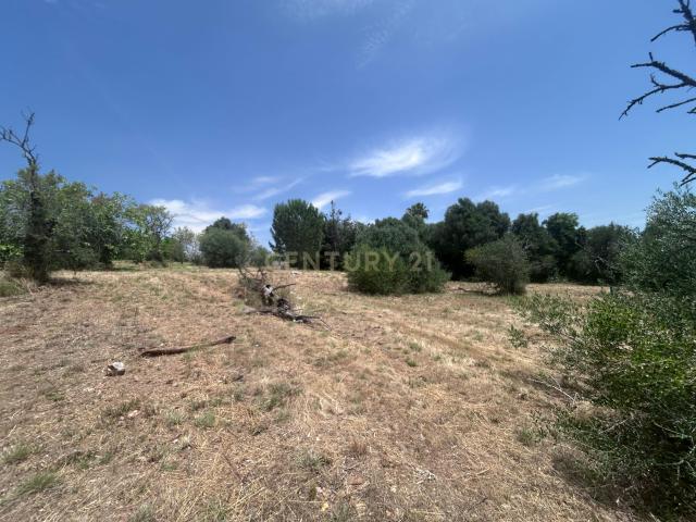 Exclusivo Terreno com 6.320m² em Silves – Natureza, Privacidade e Potencial no Coração do Algarve