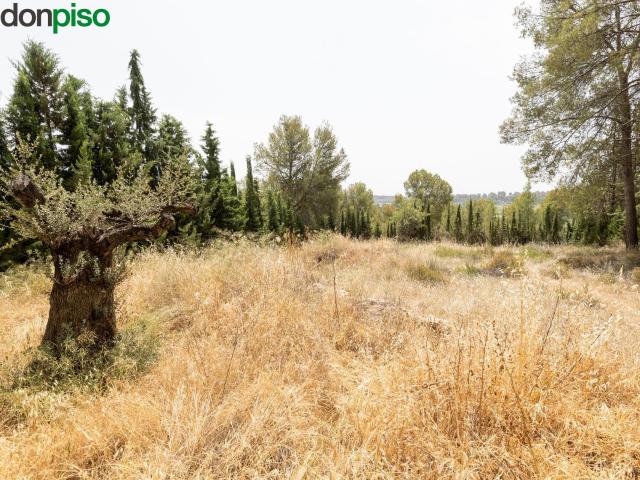 EXCLUSIVO TERRENO EN VENTA EN ALBOLOTE