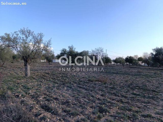 Exclusivo Terreno Rural en Onil: Un Oasis de Posibilidades