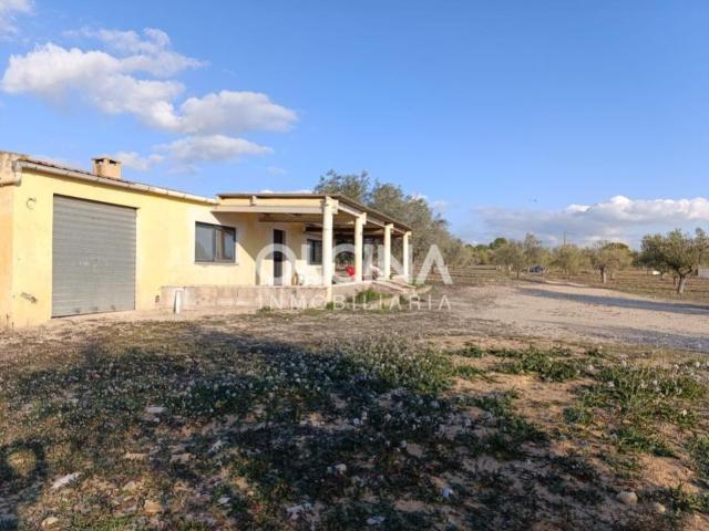 Exclusivo Terreno Rural en Onil: Un Oasis de Posibilidades