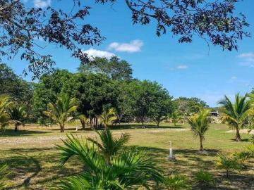Exclusivos terrenos residenciales de 1000m2 en Kantoyna, Yucat?n