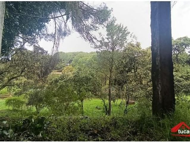 ?¡EXCLUSIVA! Casa con terreno y pozo en Trassierra, Siete Fincas?