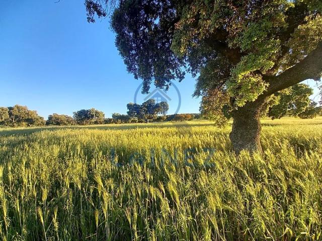 Exclusiva casa de campo en venta Peñarroya Pueblonuevo, España