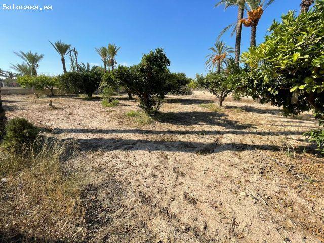 ✨ EXCLUSIVA CASA DE CAMPO EN MATOLA – NATURALEZA, ESPACIO Y PRIVACIDAD ✨