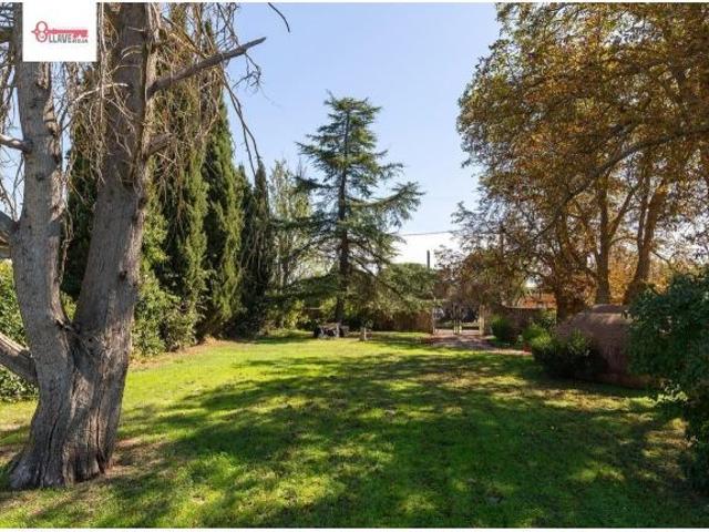 Exclusiva Casa de Piedra con 7.000 mt Terreno Arbolado y Piscina en Tierra de Campos, Palencia