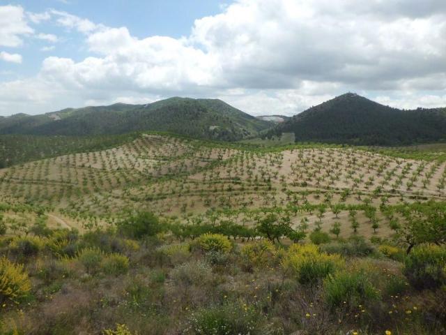 Exclusiva Casa rural de 500 m2 en venta Lorca, España