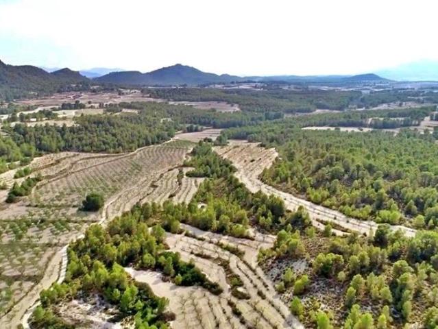 Exclusiva Casa rural de 559 m2 en venta Moratalla, Murcia
