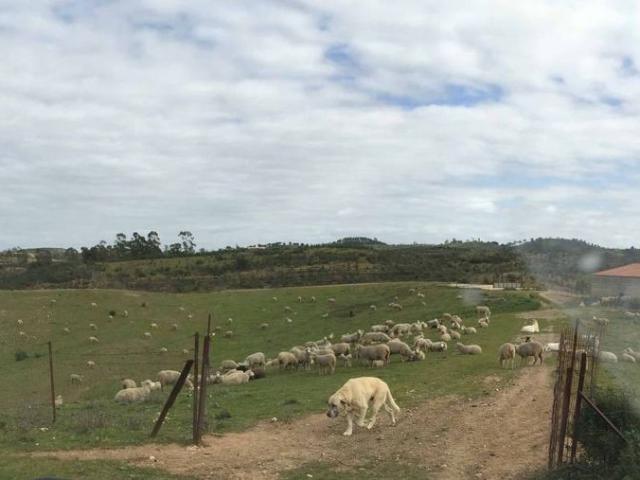 Exclusiva Casa rural de 100 m2 en venta Valverde del Camino, Andalucía